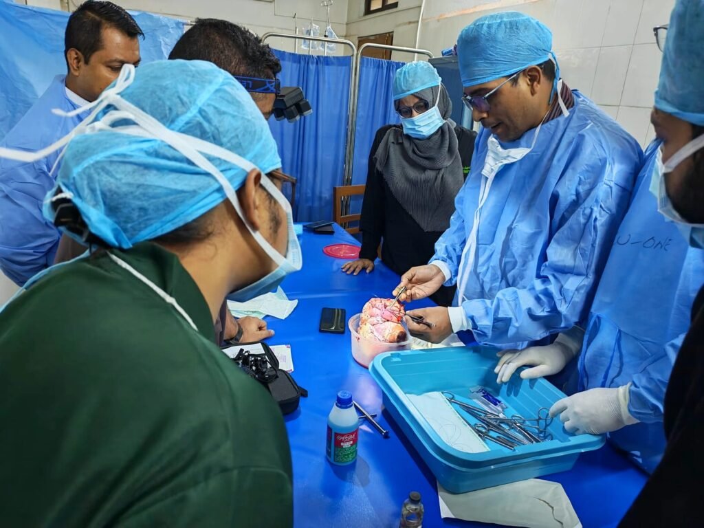Participants working on cardiac specimens during the NICVD wet lab workshop