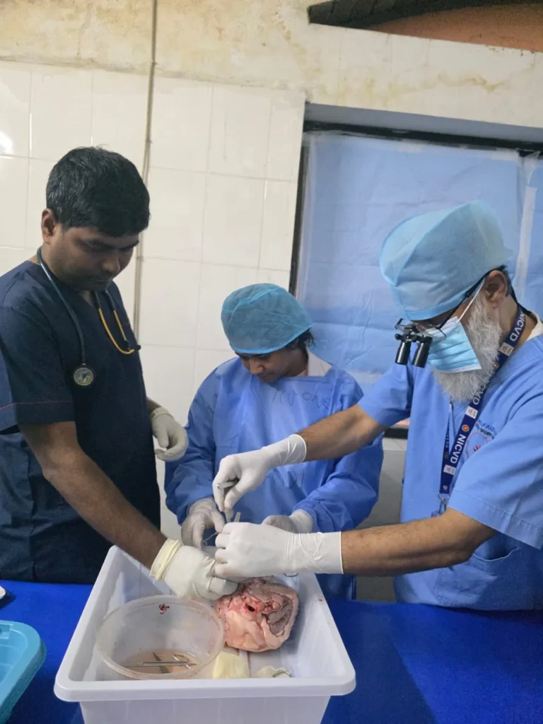 Guided Dissection Under Faculty Supervision