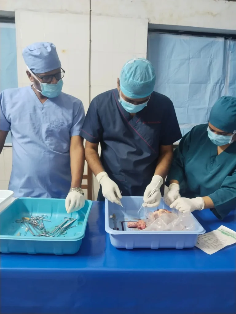 Hands-On Training with Surgical Instruments