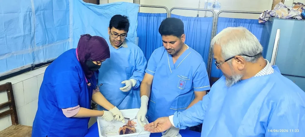 Heart Dissection at the Wet Lab Bench