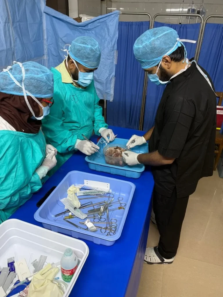 Instrument Set-Up for Wet Lab Training
