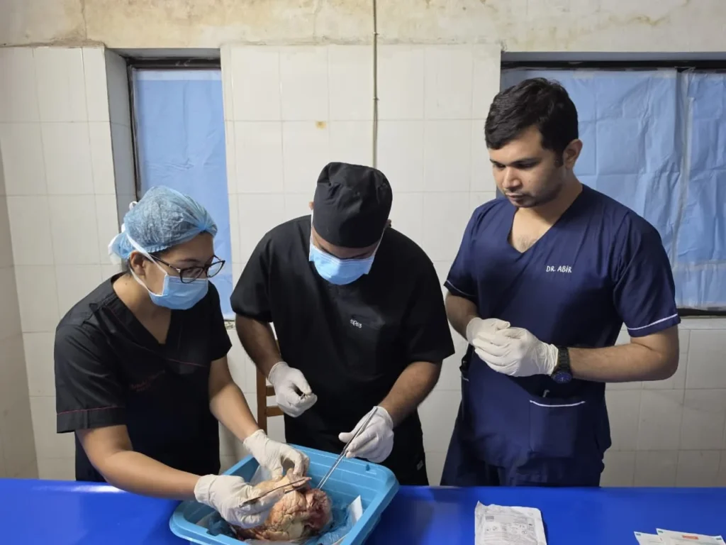 Residents Practising on a Cardiac Specimen